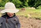農業が危ない。年間食べるお米に対して、どれくらいの田んぼの広さが必要かご存知ですか？