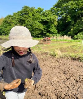 農業が危ない。年間食べるお米に対して、どれくらいの田んぼの広さが必要かご存知ですか？